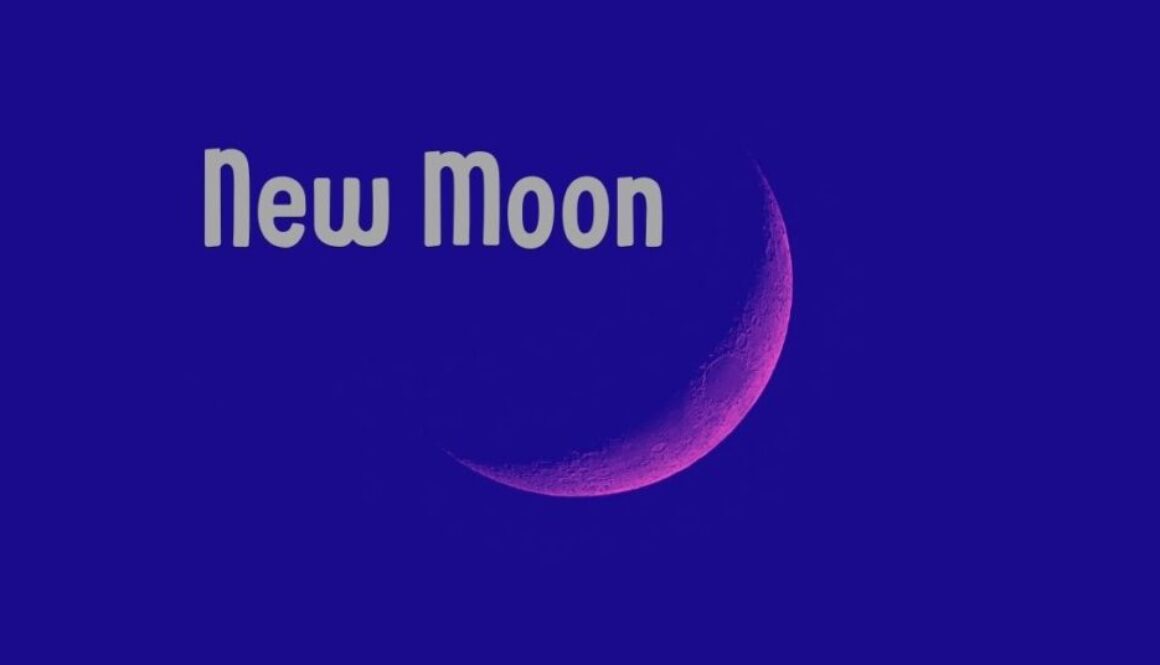 New Moon by Kathryn Cloward